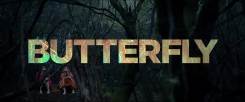 Butterfly_522.jpg