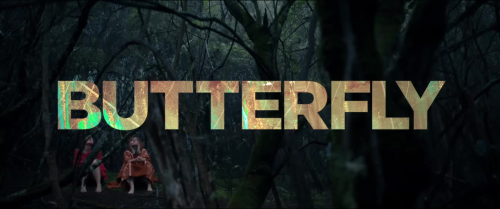 Butterfly_523.jpg