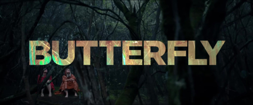 Butterfly_525.jpg