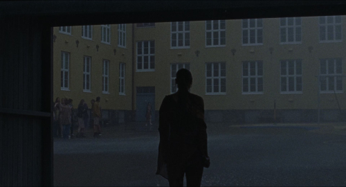 Armand_7224.jpg