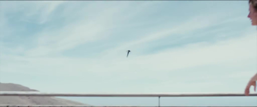 Butterfly_350.jpg