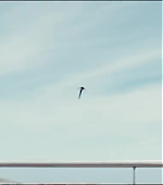 Butterfly_350.jpg